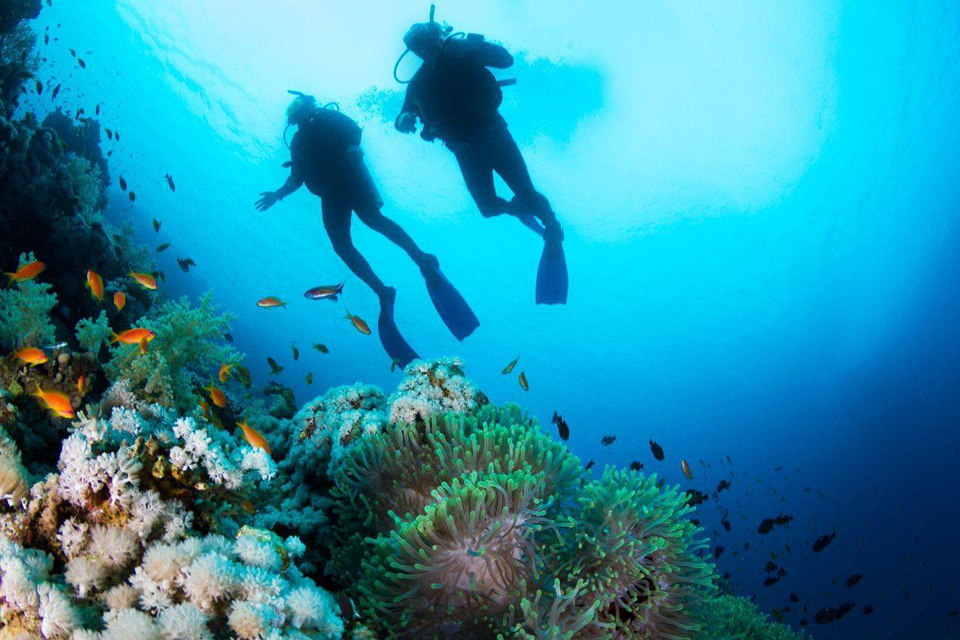 People-scuba-diving